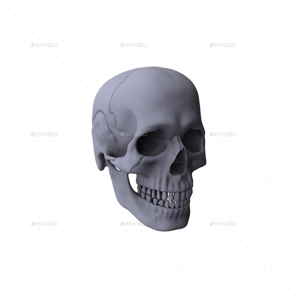 Skull PNG Set by 3background | GraphicRiver